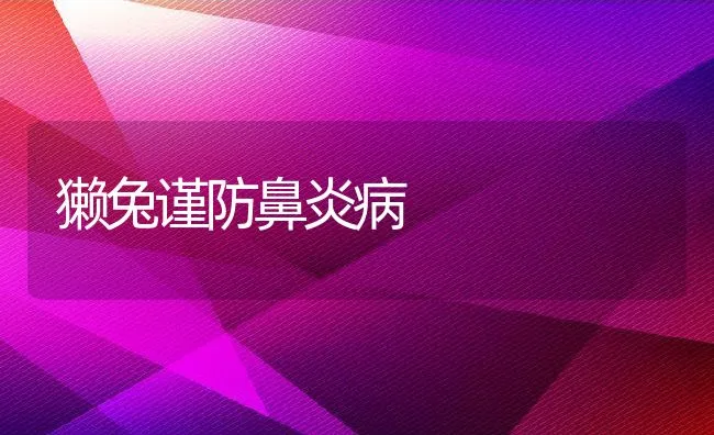 獭兔谨防鼻炎病 | 水产养殖知识