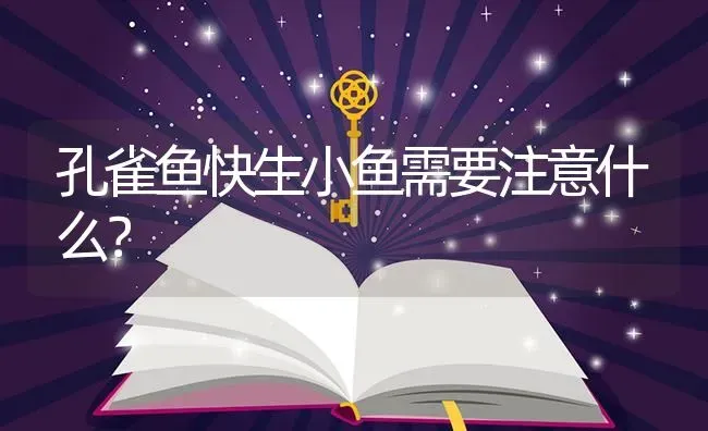 罗汉枝这种花怎么养？是应该多水还是少水？ | 鱼类宠物饲养