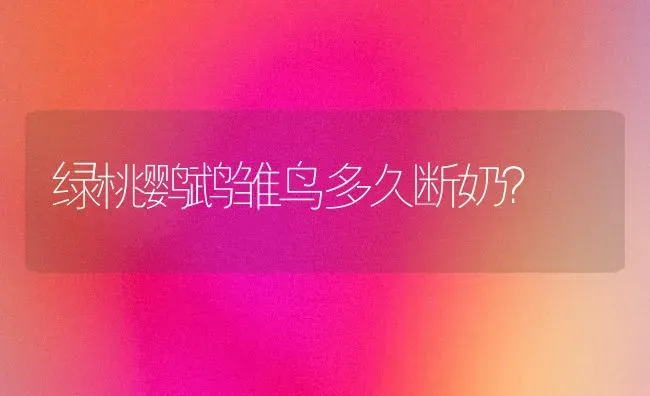 绿桃鹦鹉雏鸟多久断奶？ | 动物养殖问答