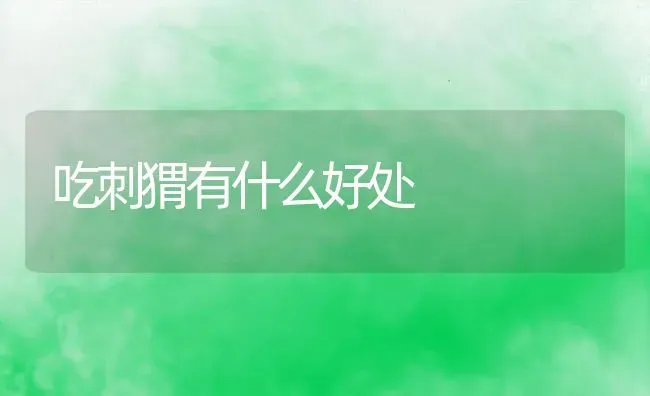 吃刺猬有什么好处 | 动物养殖百科