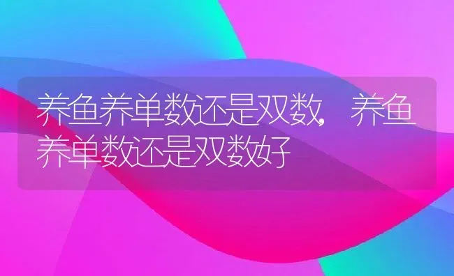 养鱼养单数还是双数,养鱼养单数还是双数好 | 宠物百科知识