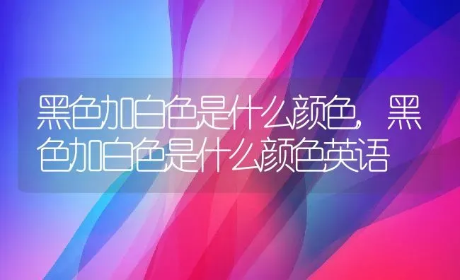 黑色加白色是什么颜色,黑色加白色是什么颜色英语 | 宠物百科知识