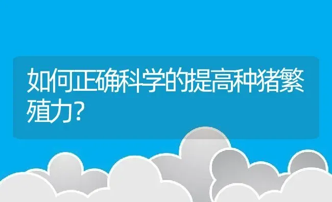 如何正确科学的提高种猪繁殖力？ | 动物养殖百科