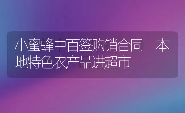 小蜜蜂中百签购销合同 本地特色农产品进超市 | 动物养殖学堂