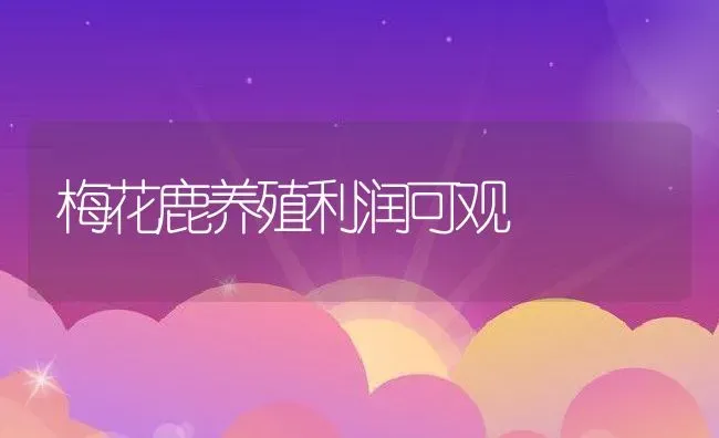 梅花鹿养殖利润可观 | 动物养殖教程