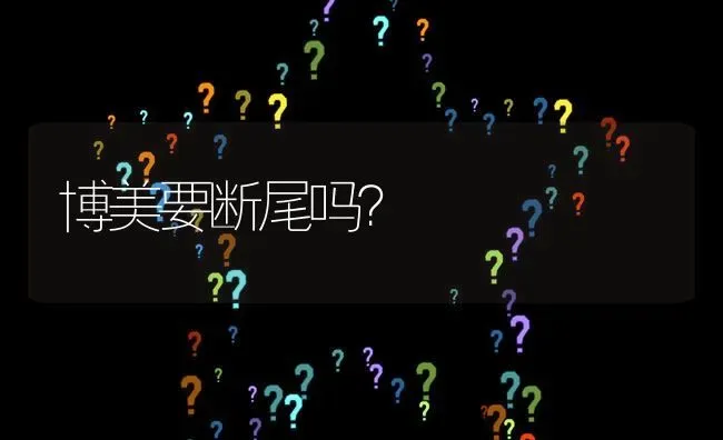 博美要断尾吗？ | 动物养殖问答