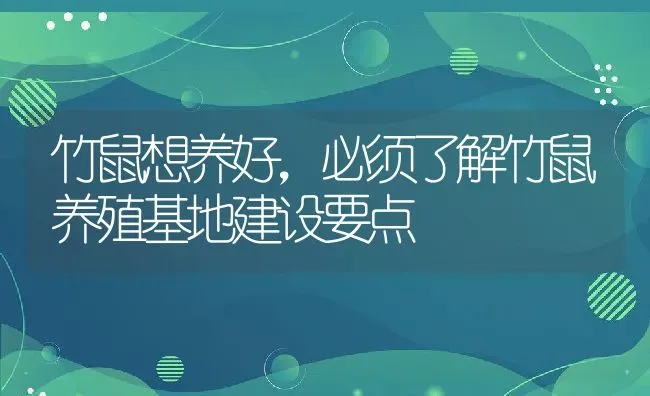 竹鼠想养好，必须了解竹鼠养殖基地建设要点 | 动物养殖百科