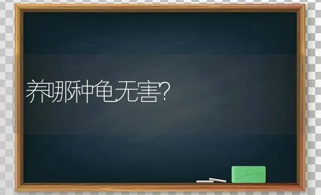 龙猫养多长时间才能亲近人？ | 动物养殖问答