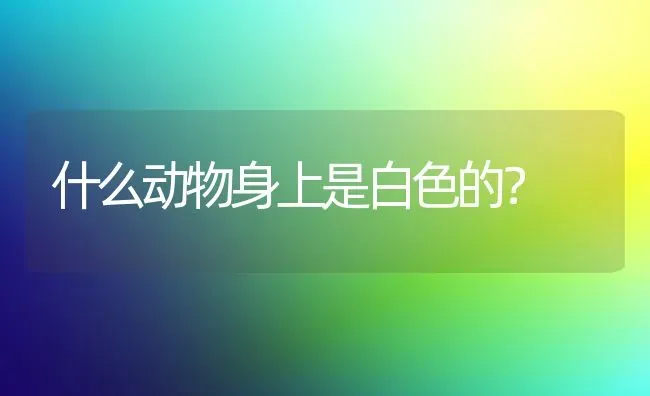 什么动物身上是白色的？ | 动物养殖问答