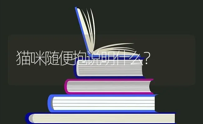 猫咪随便抱说明什么？ | 动物养殖问答