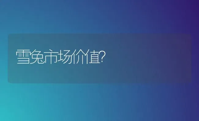 白腰文鸟能和鹦鹉放在一起吗？ | 动物养殖问答