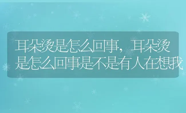 耳朵烫是怎么回事,耳朵烫是怎么回事是不是有人在想我 | 宠物百科知识