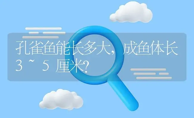 孔雀鱼能长多大，成鱼体长3~5厘米？ | 鱼类宠物饲养