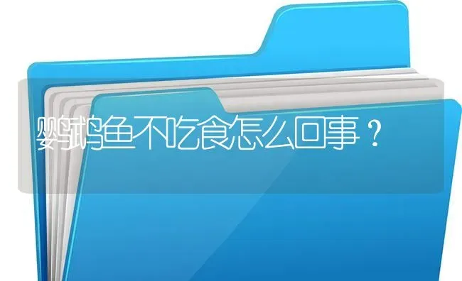 鹦鹉鱼不吃食怎么回事？ | 鱼类宠物饲养