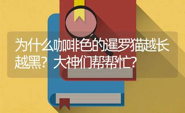 为什么咖啡色的暹罗猫越长越黑？大神们帮帮忙？ | 动物养殖问答