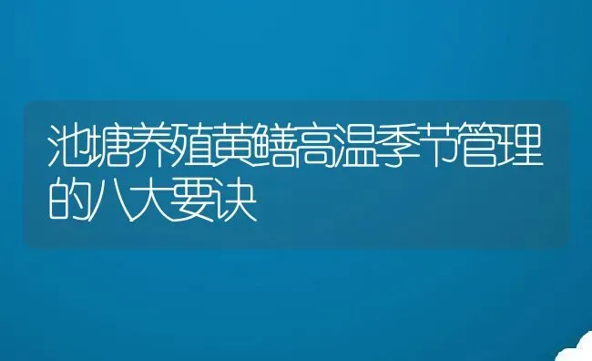 池塘养殖黄鳝高温季节管理的八大要诀 | 动物养殖教程