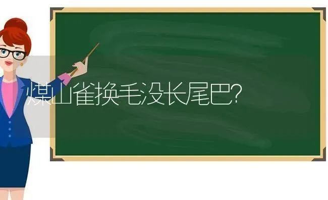 煤山雀换毛没长尾巴？ | 动物养殖问答