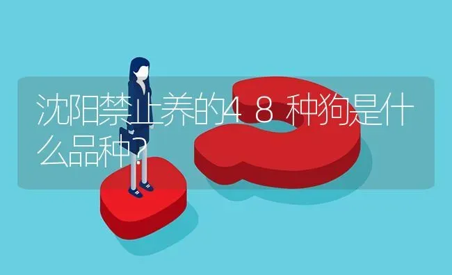 沈阳禁止养的48种狗是什么品种？ | 动物养殖问答