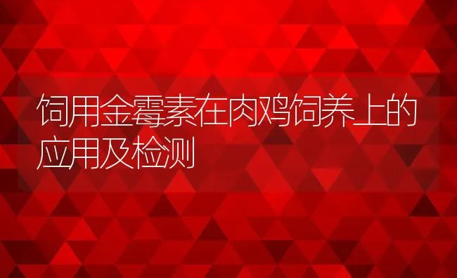 饲用金霉素在肉鸡饲养上的应用及检测 | 动物养殖饲料