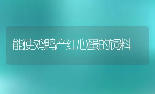 能使鸡鸭产红心蛋的饲料 | 动物养殖饲料