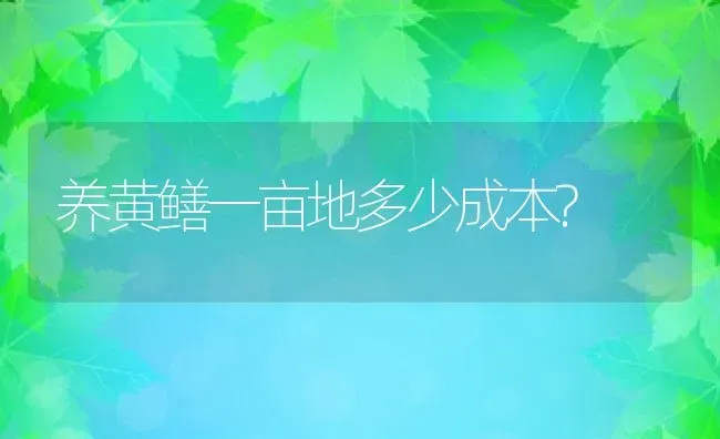 养黄鳝一亩地多少成本? | 动物养殖百科