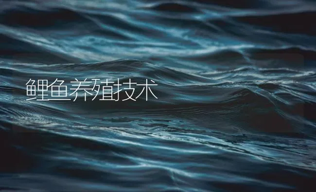 鲤鱼养殖技术 | 海水养殖技术