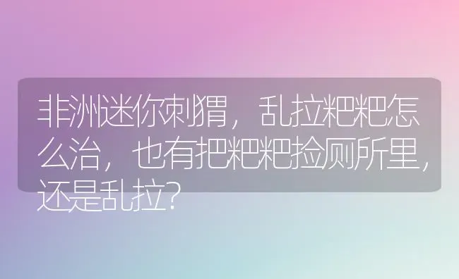 非洲迷你刺猬，乱拉粑粑怎么治，也有把粑粑捡厕所里，还是乱拉？ | 动物养殖问答