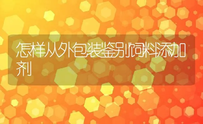 秋冬季节注意鸡舍通风 | 动物养殖学堂