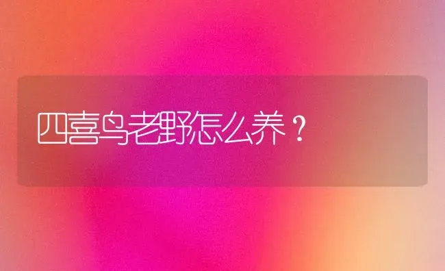 四喜鸟老野怎么养？ | 动物养殖问答