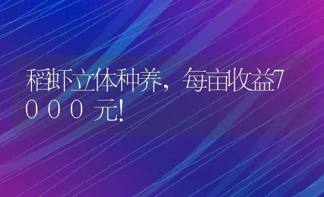 稻虾立体种养，每亩收益7000元！ | 动物养殖百科