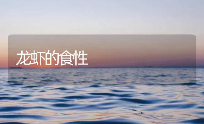 龙虾的食性 | 海水养殖技术