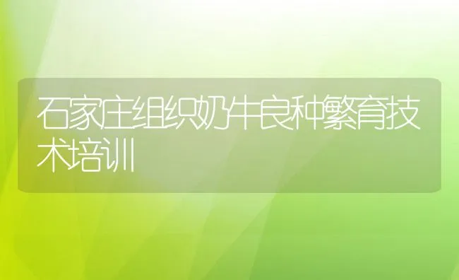 石家庄组织奶牛良种繁育技术培训 | 动物养殖饲料