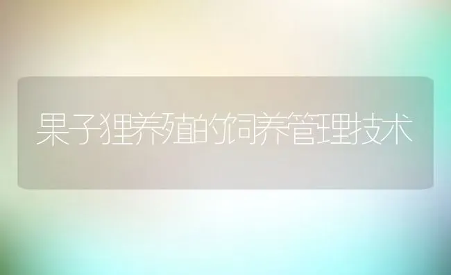 果子狸养殖的饲养管理技术 | 特种养殖技术