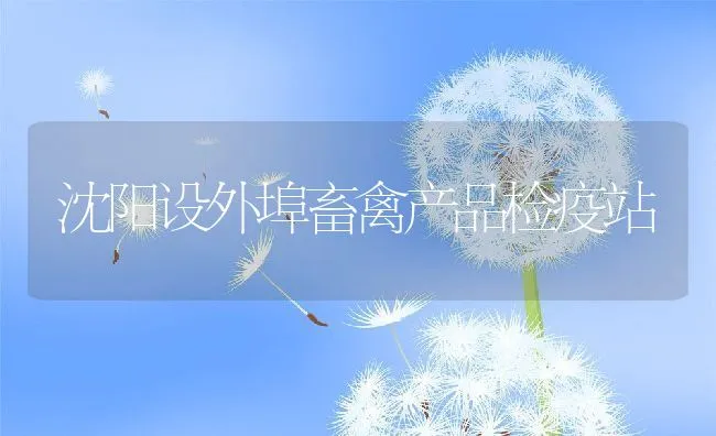 人工繁育黄鳝获新突破鳝苗成活率高达95%以上 | 海水养殖技术