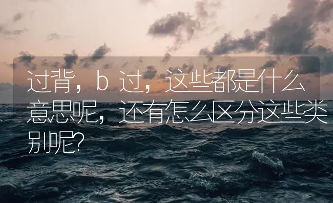 过背，b过，这些都是什么意思呢，还有怎么区分这些类别呢？ | 鱼类宠物饲养