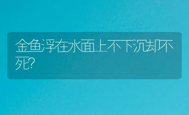 金鱼浮在水面上不下沉却不死？ | 鱼类宠物饲养
