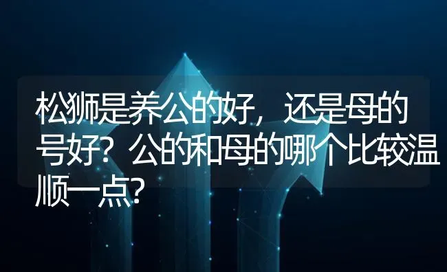 松狮是养公的好，还是母的号好？公的和母的哪个比较温顺一点？ | 动物养殖问答