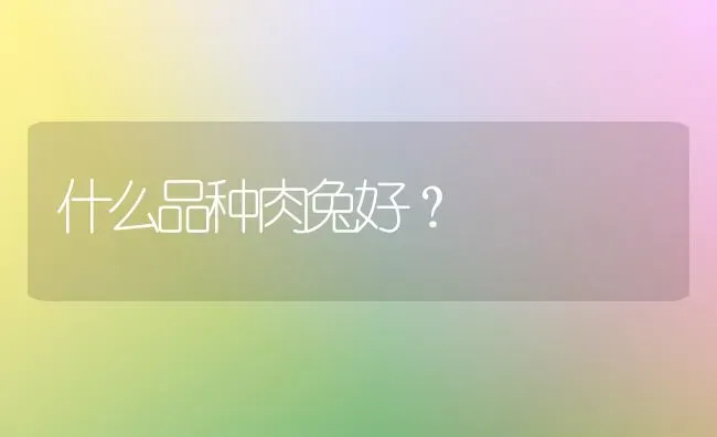 什么品种肉兔好？ | 动物养殖问答