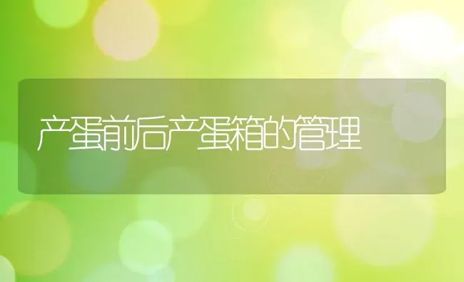 产蛋前后产蛋箱的管理 | 动物养殖教程