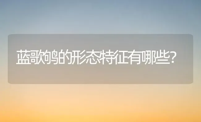 蓝歌鸲的形态特征有哪些？ | 动物养殖问答