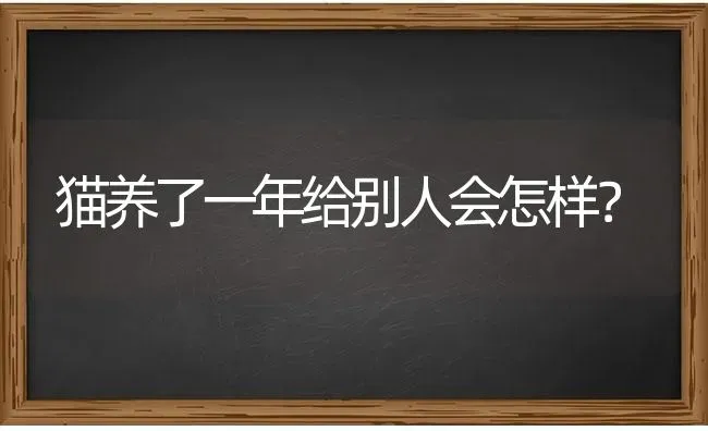 猫养了一年给别人会怎样？ | 动物养殖问答