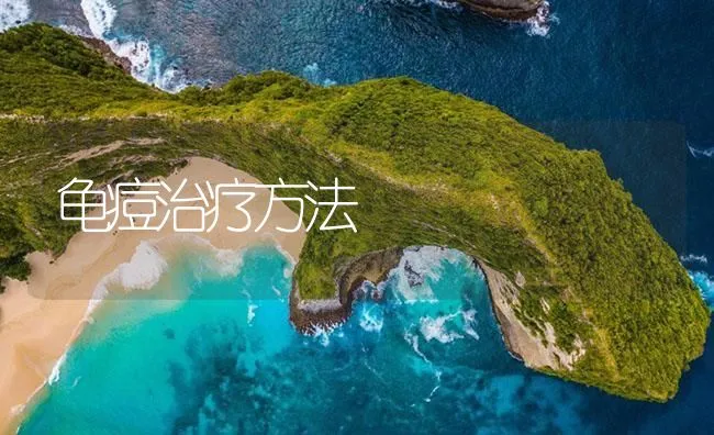 龟痘治疗方法 | 海水养殖技术