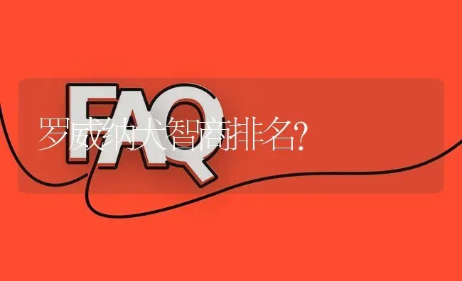 罗威纳犬智商排名？ | 动物养殖问答