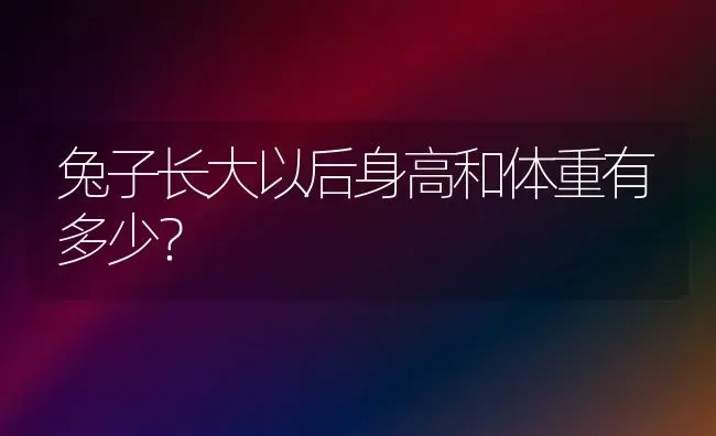 兔子长大以后身高和体重有多少？ | 动物养殖问答