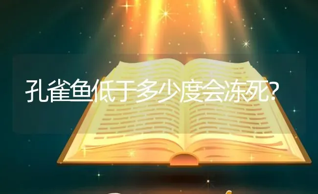 孔雀鱼低于多少度会冻死？ | 鱼类宠物饲养