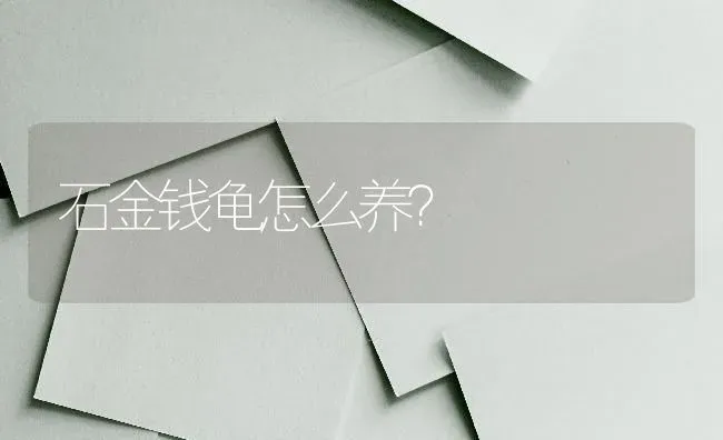 阿拉斯加和雪橇犬的区别？ | 动物养殖问答