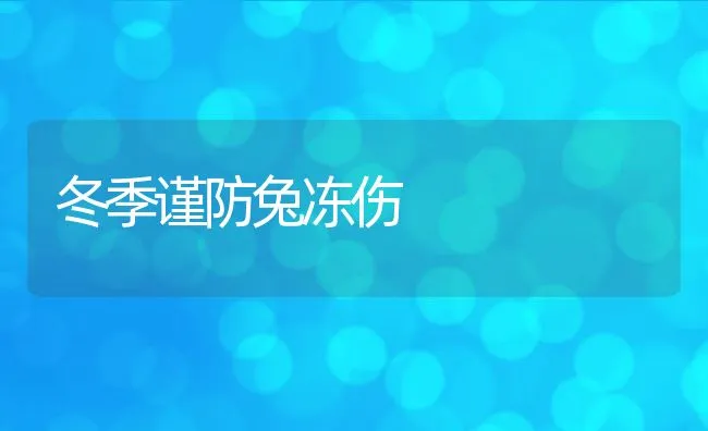 冬季谨防兔冻伤 | 动物养殖饲料