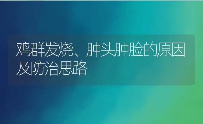 鸡群发烧、肿头肿脸的原因及防治思路 | 动物养殖百科