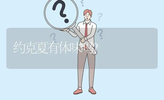 约克夏有体味吗？ | 动物养殖问答