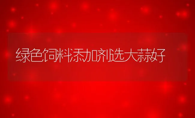 改善牲畜饲料，削减污染 | 动物养殖学堂